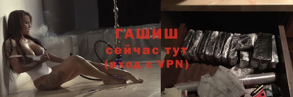 стаф Арсеньев
