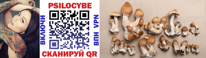 мега как войти  Пролетарск  Галлюциногенные грибы MAGIC MUSHROOMS  продажа наркотиков 